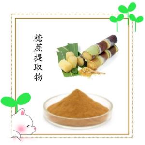 糖蔗提取物  浓缩粉 植物萃取 质量稳定