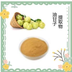 油甘子提取物 固体饮料原料 六盘韵各种规格可定制