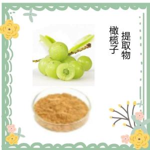 橄榄子提取物 植物萃取 水溶 精细粉末