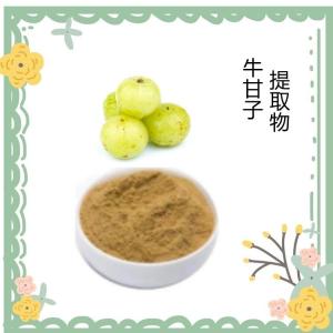 牛甘子提取物 食品原料 余甘子粉 水溶