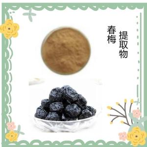 春梅 提取物 规格10:1