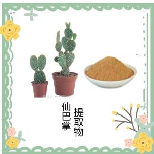 仙巴掌提取物 可定制生产 水溶性好