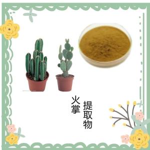 全水溶火掌提取物 高比例定制 含有多糖 可包邮
