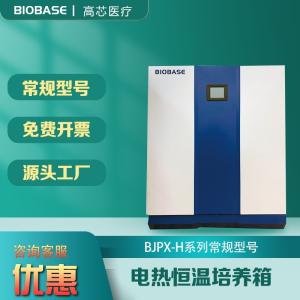 常规型号电热恒温培养箱BJPX-H54
