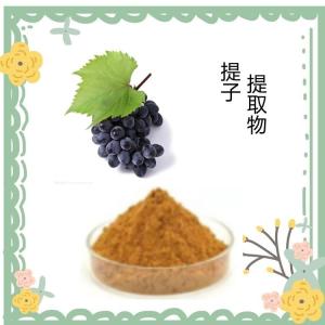 提子提取物  喷雾干燥工艺