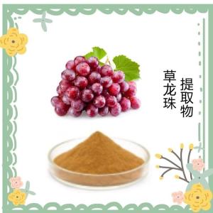 草龙珠提取物10-1 速溶粉 喷雾干燥工艺 食品级原料