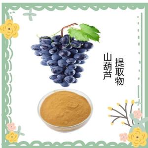 山葫芦提取物  喷雾干燥工艺  粉末均匀