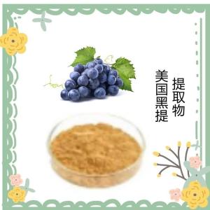 比例浓缩萃取   美国黑提提取物   免费拿样