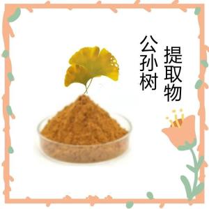 公孙树提取物  黄酮 高比例 植物萃取