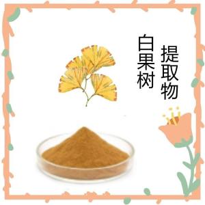 白果树提取物 喷雾干燥工艺 水溶性好