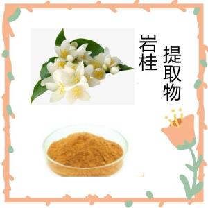 岩桂提取物10:1比例提取