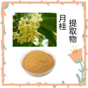月桂提取物 水溶粉 喷雾干燥 三方检测 支持拿样