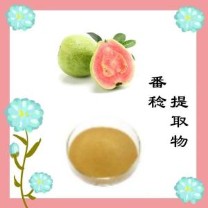 番稔提取物   比例浓缩萃取  粉末均匀