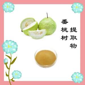 番桃树提取物 水溶