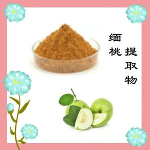 粉末均匀  缅桃提取物  源头把控