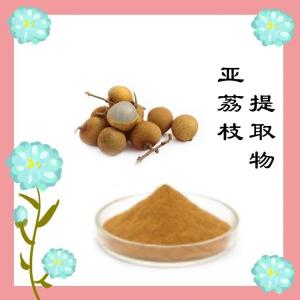亚荔枝提取物10:1  现货供应  品质保障
