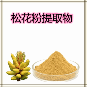 松花提取物  粉质细腻  多种规格 可加工 可定制