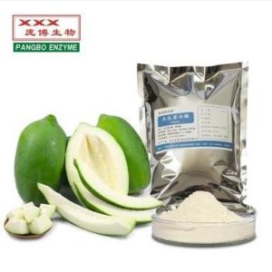 木瓜蛋白酶Papain 食品级
