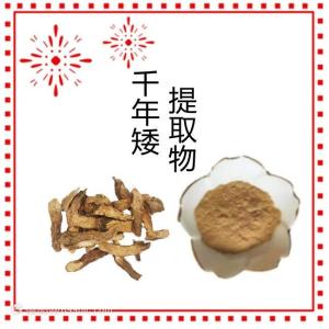 10:1千年矮提取物 全水溶 质量稳定