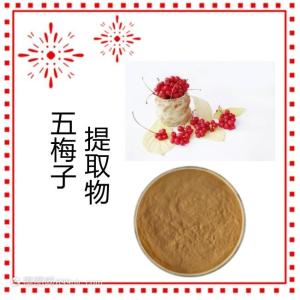 五梅子提取物 10-1速溶浓缩五梅子粉 食品原料 资质齐全 包邮