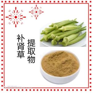 补肾草提取物 支持拿样 水溶性好