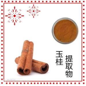 玉桂提取物10:1 食品级 六盘韵可定制