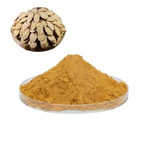斯诺特黄芪提取物 可定制多规格比例 多糖浓缩易溶解
