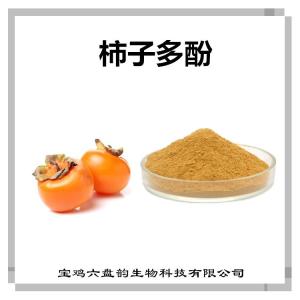 柿子提取物 柿子多酚 25公斤纸板桶包装 植物萃取