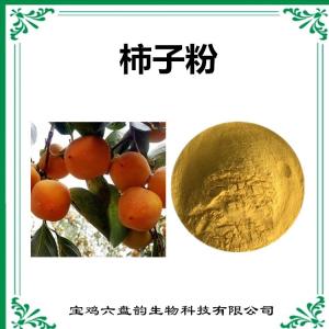 柿子浓缩粉 柿子粉 比例提取 可定制 六盘韵
