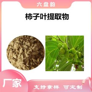 柿子叶提取物 柿子叶粉 植物提取物