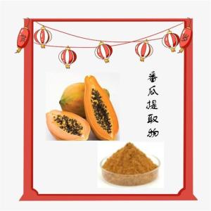 水溶 10:1 番瓜提取物 可定制 六盘韵 木瓜粉