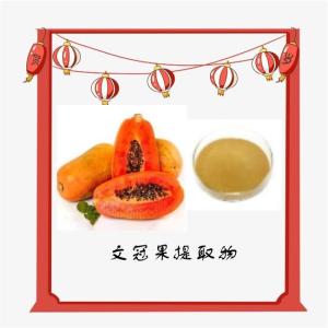 文冠果提取物   水溶 植提厂家