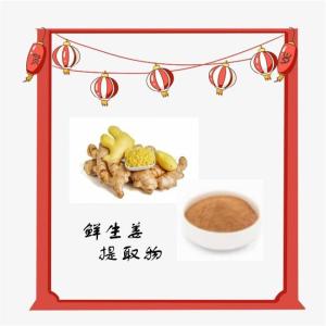 鲜生姜提取物  水溶性粉末   六盘韵供应库存充足