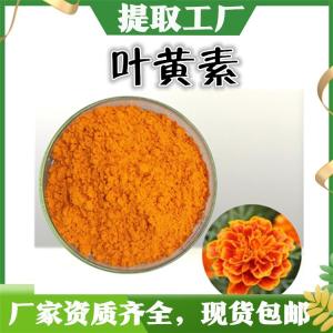 叶黄素 新食品原料  叶黄素酯