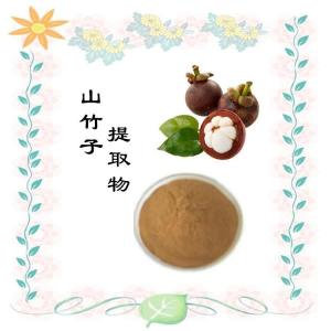 山竹子提取物     粉末均匀无结块  资质齐全