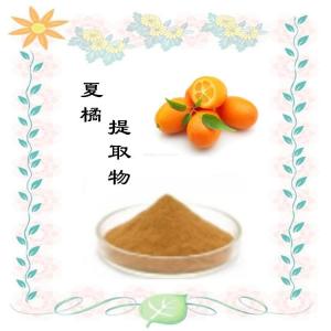 夏橘提取物  植物萃取  量大从优  库存充足