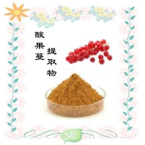 酸果蔓提取物  速溶浓缩粉末 食品饮料原料 源头发货