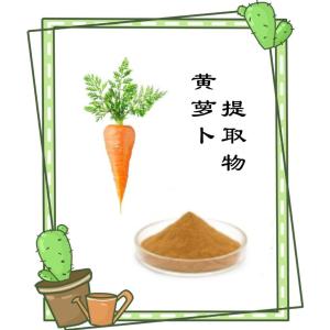 胡萝卜提取物10:1  天然有机萃取 食品饮料原料
