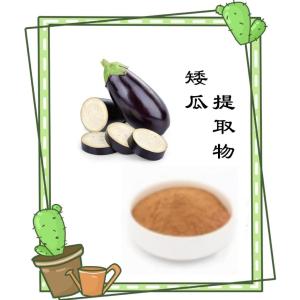 矮瓜提取物 精细原料粉末细腻速溶食品级原料可定制加工