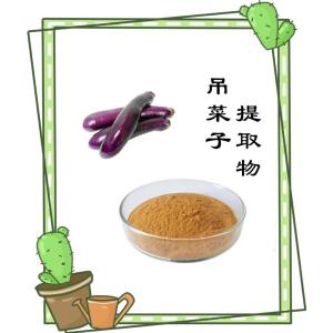 吊菜子提取物 六盘韵生物 资质 可定制