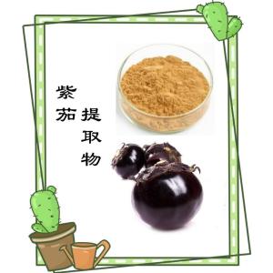 喷雾干燥 紫茄提取物 提供样品 现货先发 足量库存
