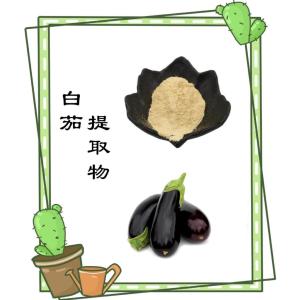 白茄提取物 食品级原料 可第三方检测 粉末细腻均匀