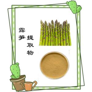 露笋提取物 喷雾干燥   纸板桶包装