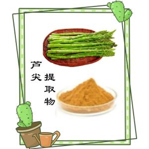 芦尖提取物 水溶性好粉末细腻
