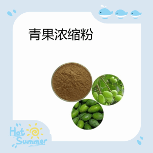 青果浓缩粉  10:1多规格青果粉