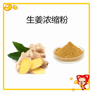 生姜浓缩粉  水溶性生姜粉   可定制 可提样