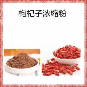 枸杞子浓缩粉  水溶比例浓缩   多糖
