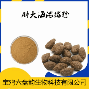 胖大海浓缩粉  可定制多种规格