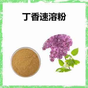 丁香速溶粉 10:1多种规格 丁香粉喷雾干燥工艺