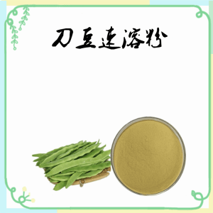 刀豆速溶粉 10:1规格可定制 水溶刀豆精细粉